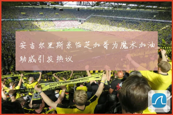 安吉尔里斯亲临芝加哥为魔术加油助威引发热议