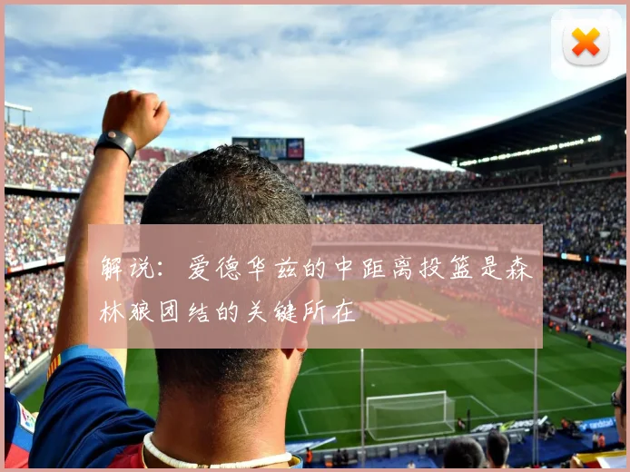 解说：爱德华兹的中距离投篮是森林狼团结的关键所在