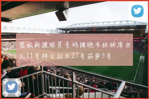 蓉城新援球员号码揭晓韦林顿席尔瓦11号拜合拉木27号茹萨5号